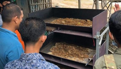 Budidaya Maggot